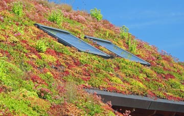 Burgh Next Aylsham living roof systems