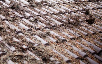 Burgh Next Aylsham roof cleaning companies